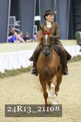 24R13_21108 thumbnail