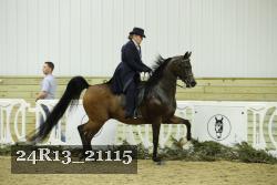 24R13_21115 thumbnail