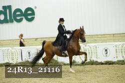24R13_21116 thumbnail