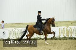 24R13_21117 thumbnail