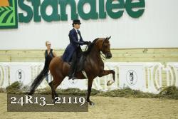 24R13_21119 thumbnail