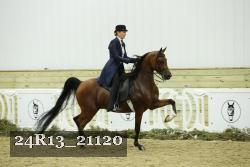 24R13_21120 thumbnail