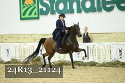 24R13_21124 thumbnail