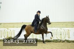 24R13_21125 thumbnail