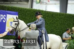 24R13_21131 thumbnail