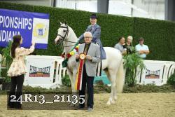 24R13_21135 thumbnail