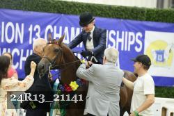24R13_21141 thumbnail