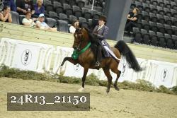 24R13_21150 thumbnail