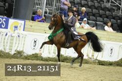 24R13_21151 thumbnail