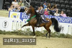 24R13_21152 thumbnail