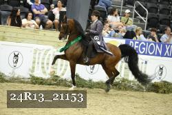 24R13_21153 thumbnail