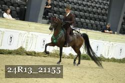 24R13_21155 thumbnail