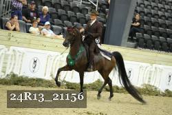 24R13_21156 thumbnail