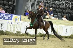 24R13_21157 thumbnail