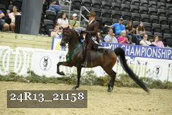 24R13_21158 thumbnail