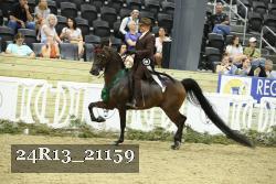 24R13_21159 thumbnail