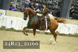 24R13_21160 thumbnail