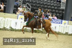 24R13_21161 thumbnail