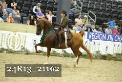 24R13_21162 thumbnail
