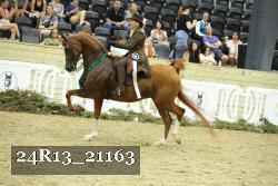 24R13_21163 thumbnail