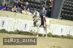 24R13_21164 thumbnail