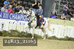 24R13_21165 thumbnail