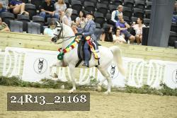 24R13_21168 thumbnail