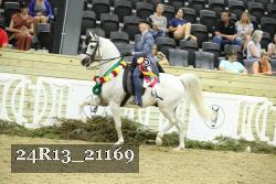 24R13_21169 thumbnail