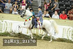 24R13_21170 thumbnail
