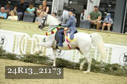 24R13_21173 thumbnail