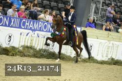 24R13_21174 thumbnail