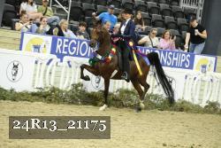 24R13_21175 thumbnail