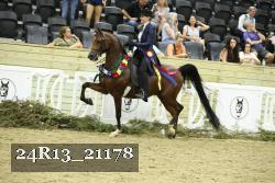 24R13_21178 thumbnail