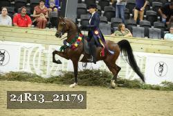 24R13_21179 thumbnail