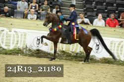24R13_21180 thumbnail