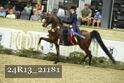 24R13_21181 thumbnail