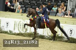 24R13_21182 thumbnail