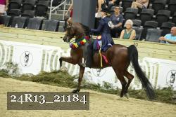 24R13_21184 thumbnail