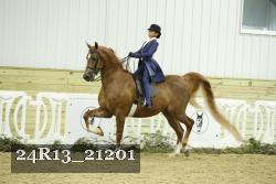 24R13_21201 thumbnail