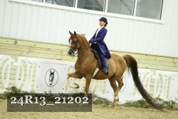 24R13_21202 thumbnail