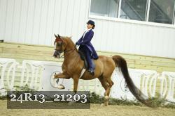 24R13_21203 thumbnail