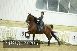 24R13_21205 thumbnail
