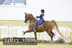 24R13_21206 thumbnail