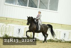 24R13_21207 thumbnail