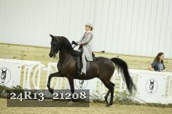 24R13_21208 thumbnail