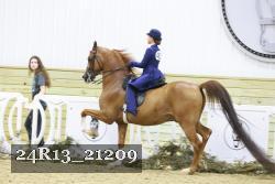 24R13_21209 thumbnail