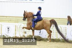 24R13_21210 thumbnail