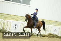 24R13_21211 thumbnail