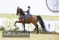 24R13_21212 thumbnail