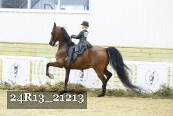 24R13_21213 thumbnail
